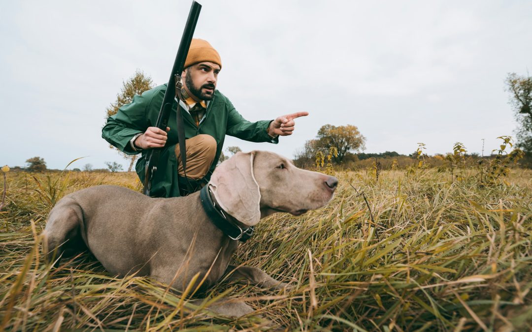 The Art of Canine Companions: Training Your Dog for Hunting