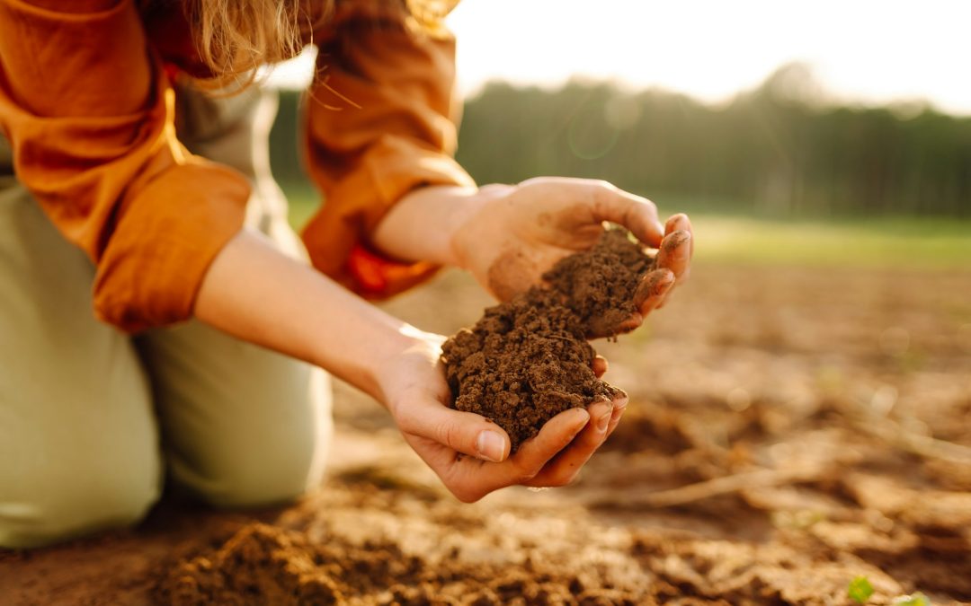 The Foundation of Fertility: Understanding What Makes Soil Good for Gardening