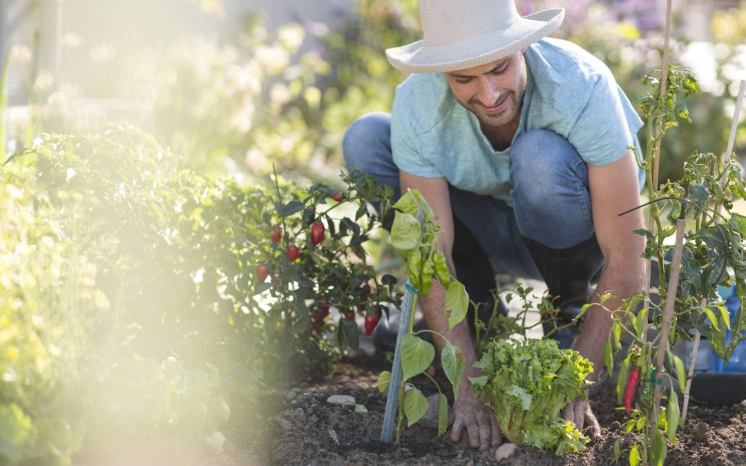 Revolutionizing Gardening: Tools and Equipment to Enhance Efficiency and Reduce Labor